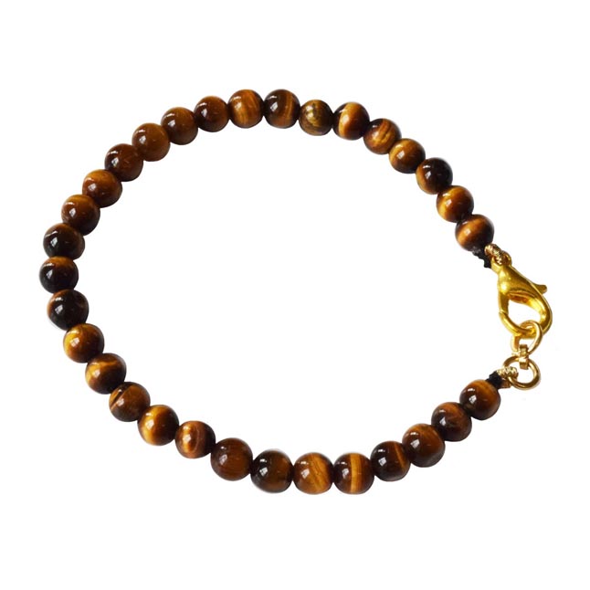 Enchanted Radiance: Polished Tiger Eye Bead Bracelet with Gold-Plated Clasp for Her (SB85)